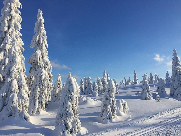 Dum A Chatka Pod Smrkem Nove Mesto pod Smrkem Buitenkant foto