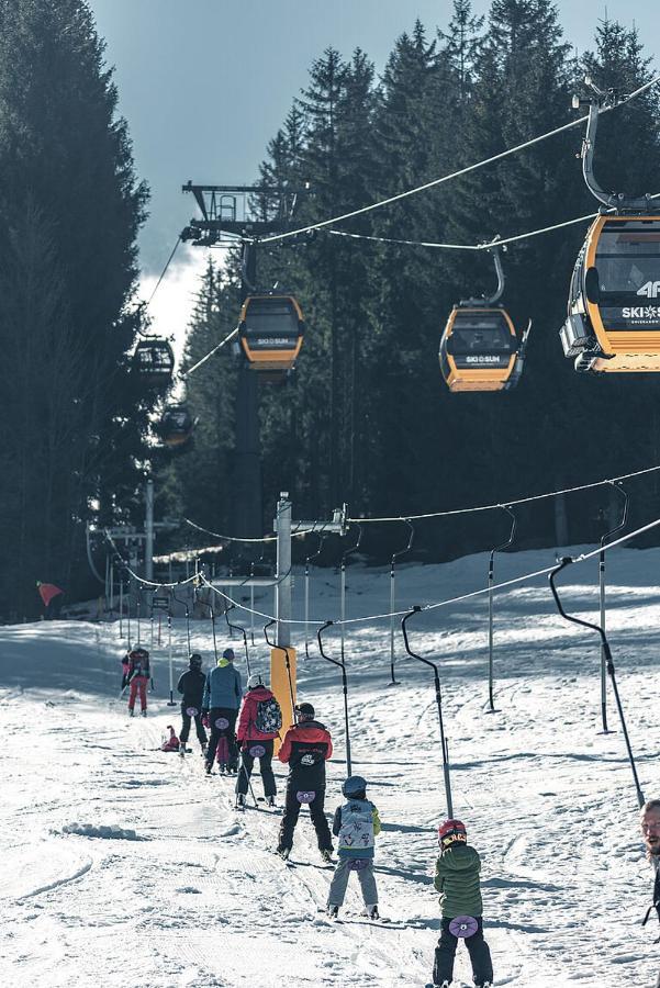 Dum A Chatka Pod Smrkem Nove Mesto pod Smrkem Buitenkant foto